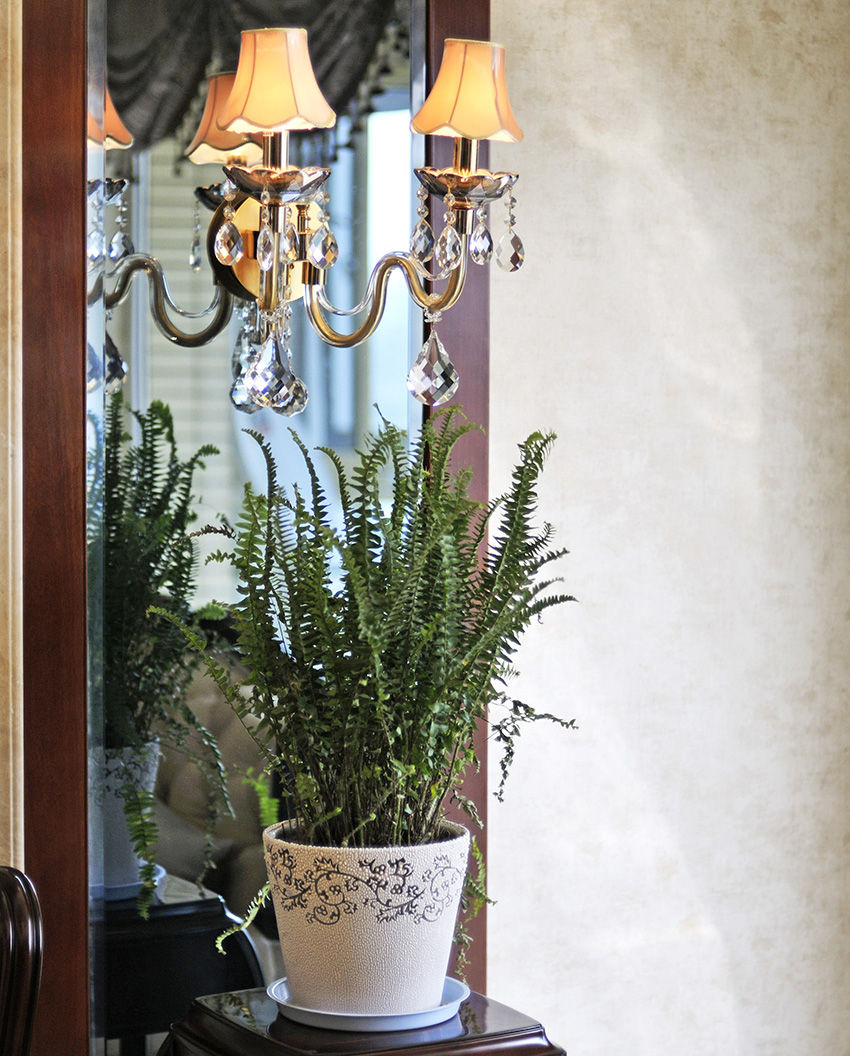 花草裝飾.jpg 花草裝飾.jpg